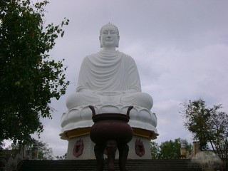 Buddha Bianco