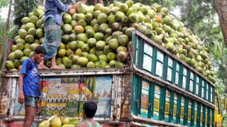 Camion di coconut