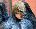 Birdman, o l'eroe dalle ali di piombo